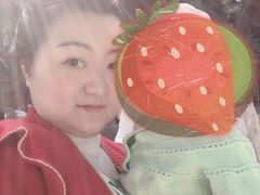 -田螺阿姨自营月嫂·育儿嫂(高新店)