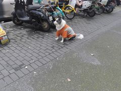 -全家便利店(孩儿巷店)