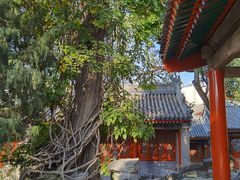 -北京艺术博物馆(万寿寺)