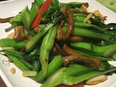 生炒茶树菇菜心-香港表哥茶餐厅(银泰百货店)