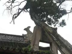 -太平天国侍王府