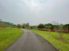 -中国科学院西双版纳热带植物园