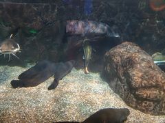 -太平洋海底世界