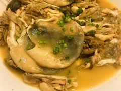 -9号小厨师(端平桥店)