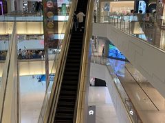 -岭南站NOVA