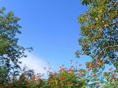 -荔枝公园(福田区)