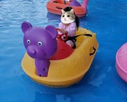 -萌宠亲子动物乐园(槐房万达店)