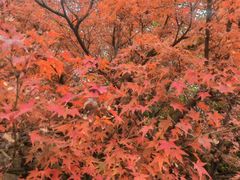 -苏州吴中太湖旅游区