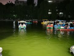 -莲湖公园