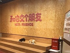 -和它·交个朋友·狗咖猫咖(爱琴海店)