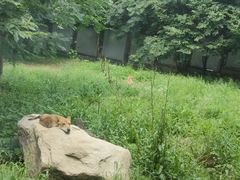 -西安秦岭野生动物园