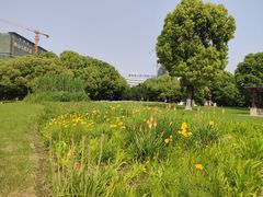 -九里河湿地公园