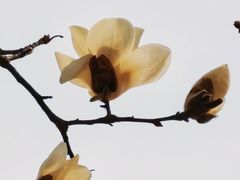 -睦南公园
