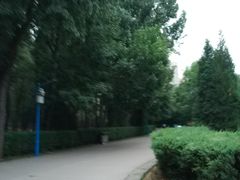 -森林公园(尖草坪区)