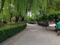 -康庄公园