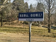 -香山公园