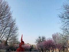 -桃花堤公园