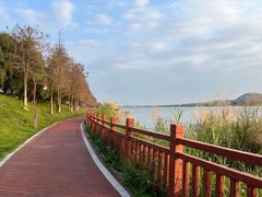 -鹤之洲湿地公园