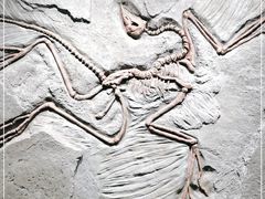 -三夫户外(天钥桥路店)