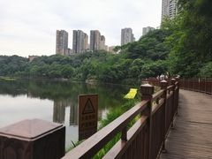 -重庆彩云湖湿地公园