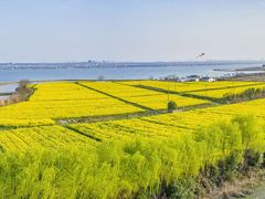 -七的湖·晚芳亭·阳澄湖农家菜·大闸蟹(莲花岛店)