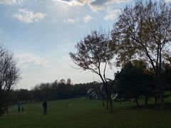 -五环公园