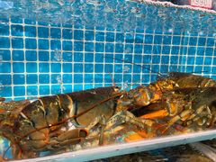 -韩记海鲜饺子旗舰店(红海新区店)
