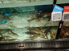 -盒马鲜生(顺义店)