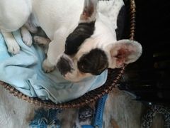 -小时光咖啡馆(北锣鼓巷店)