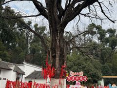 -三国赤壁古战场