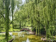 -石家庄市植物园