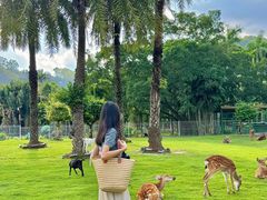 -东南花都花博园