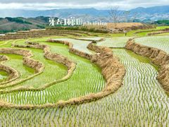 -牙胡梯田景区