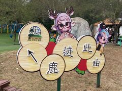 -北京鹿世界主题园