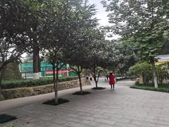 -西安市纺织公园
