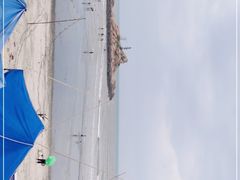 -胜记大排档·台山本地海鲜·台山黄鳝饭