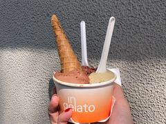 -Dip in Gelato(富民路店)