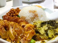 香港豉油鸡拼盐焗鸡饭-金戈戈香港豉油鸡(皇庭广场店)
