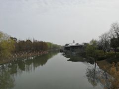-江滩湿地公园