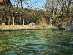 -麦积山温泉