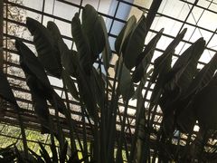 -龙达温泉生态城