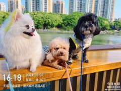 -瑞鹏宠物医院•异宠•宠保定点•流浪定点救助宠物医院(青祁店)