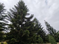 -东莞植物园