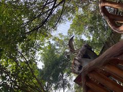 -长鹿旅游休博园