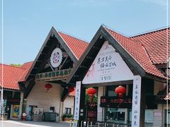 -上海海湾国家森林公园