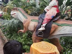 -沈阳植物园