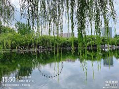 -青城公园