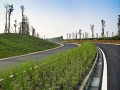 -白鹭湾湿地公园