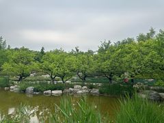 -大望京公园