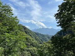 -沣峪口